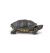 Papo Wild Life Florida tortoise 50309