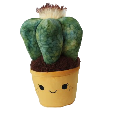 Take Me Home plant pluche Cactus 45cm 660601