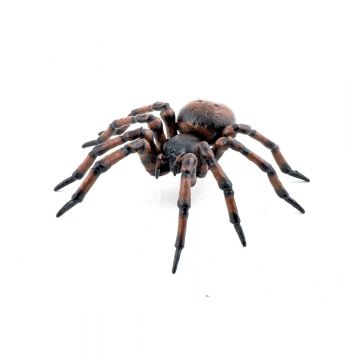 Papo Wild Life Common spider 50292