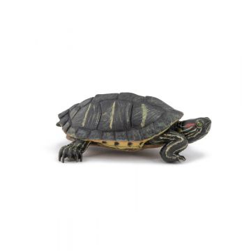 Papo Wild Life Florida tortoise 50309