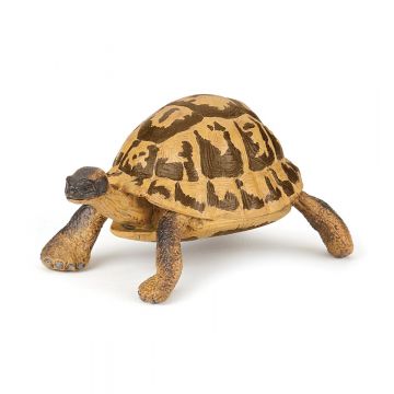 Papo Wild Life Hermann's tortoise 50264