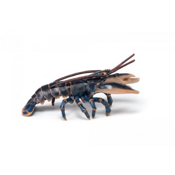 Papo Wild Life Lobster 56052