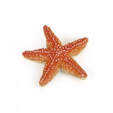 Papo Wild Life Starfish 56050