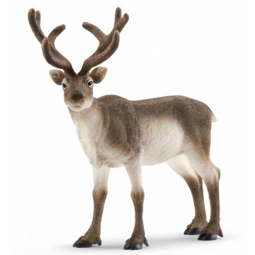 Schleich Wild Life 14837 Reindeer