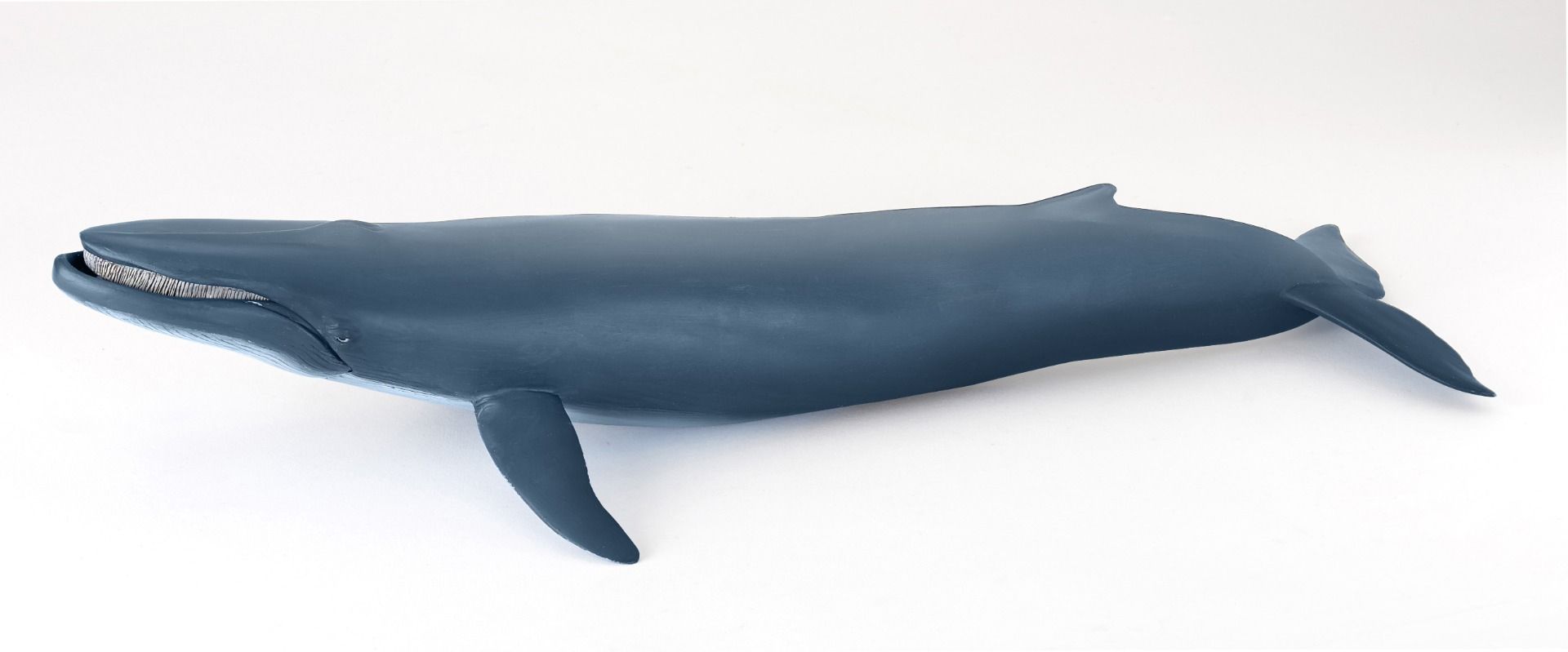 Papo Wild Life Blue whale 56037