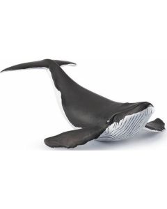 Papo Wild Life Whale calf 56035