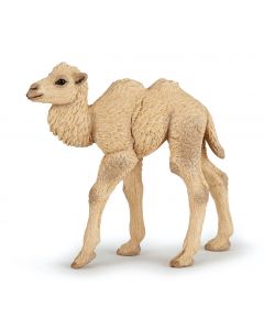 Papo Wild Life camel calf 50221