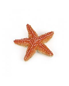 Papo Wild Life Starfish 56050